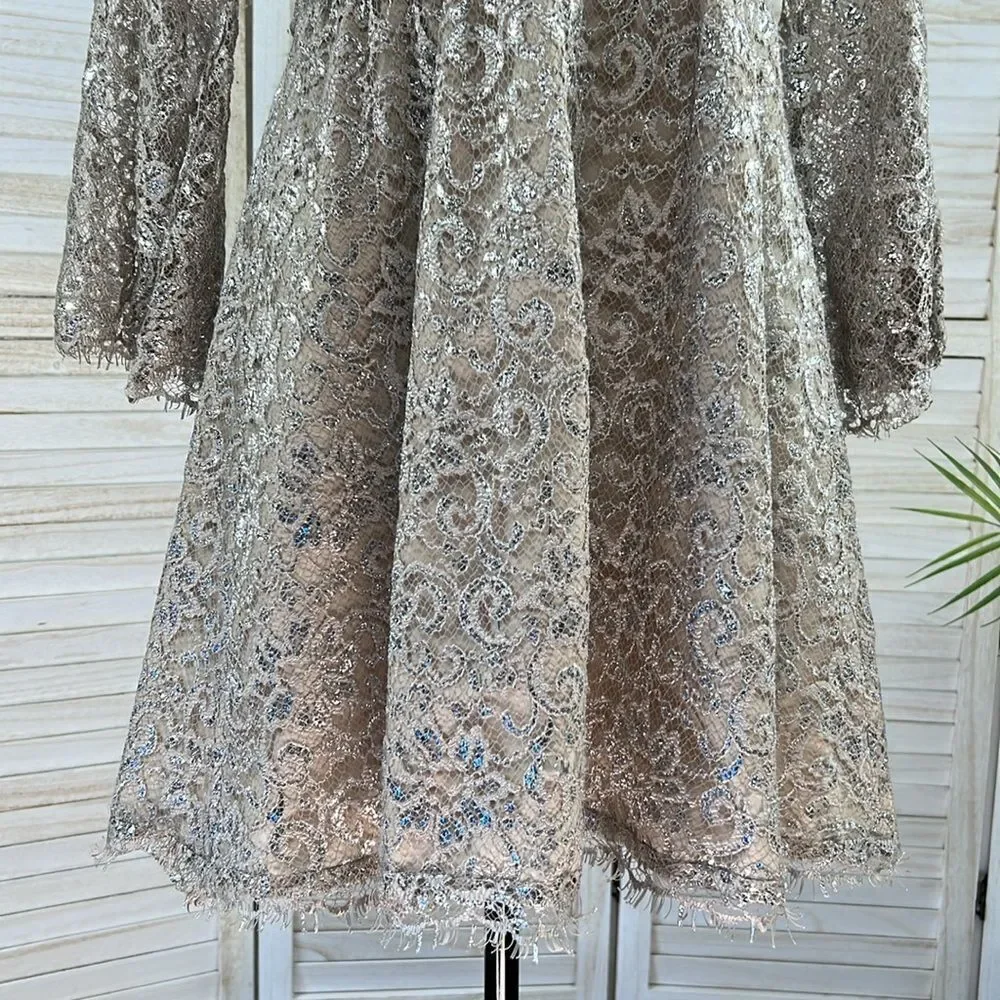 Corey Lynn Calter Anthropologie Metallic Lace Skater Mini Dress XS